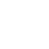 Fast service truck icon